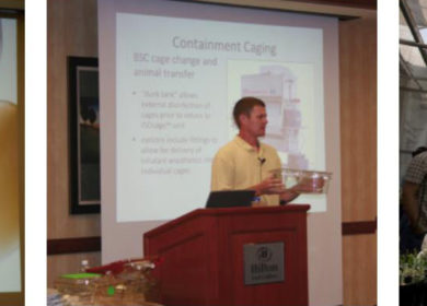 member_spotlight_logo_1